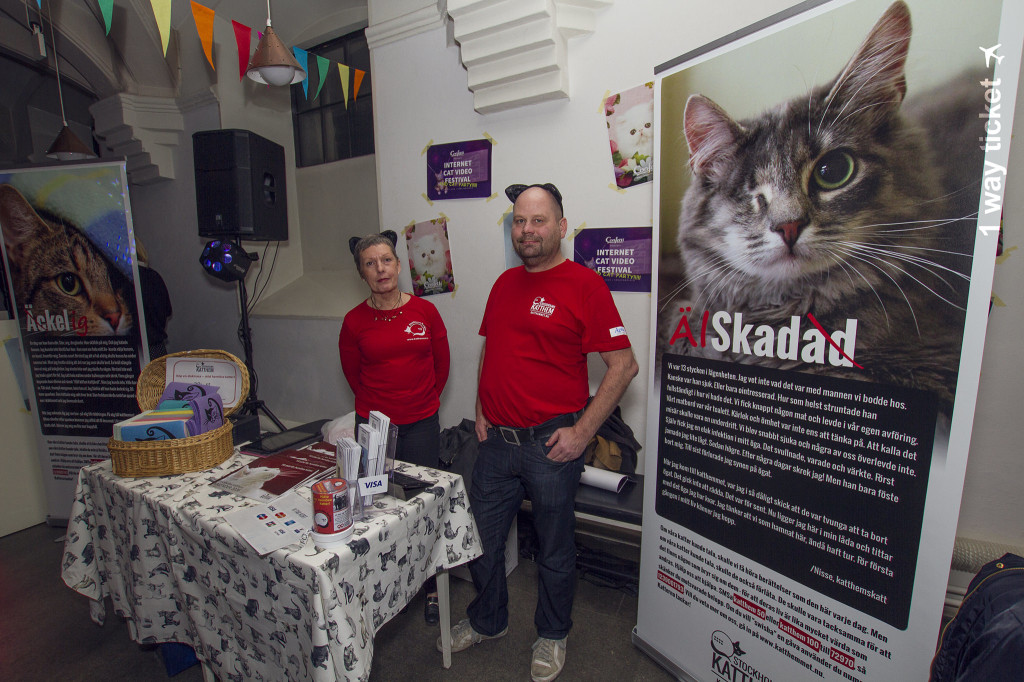 Stockholms Katthem's volunteers present at the event
