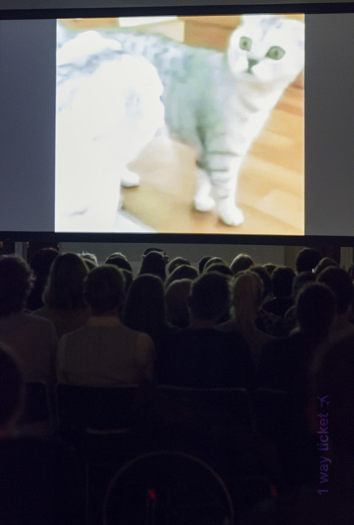 Cat Video Festival screening