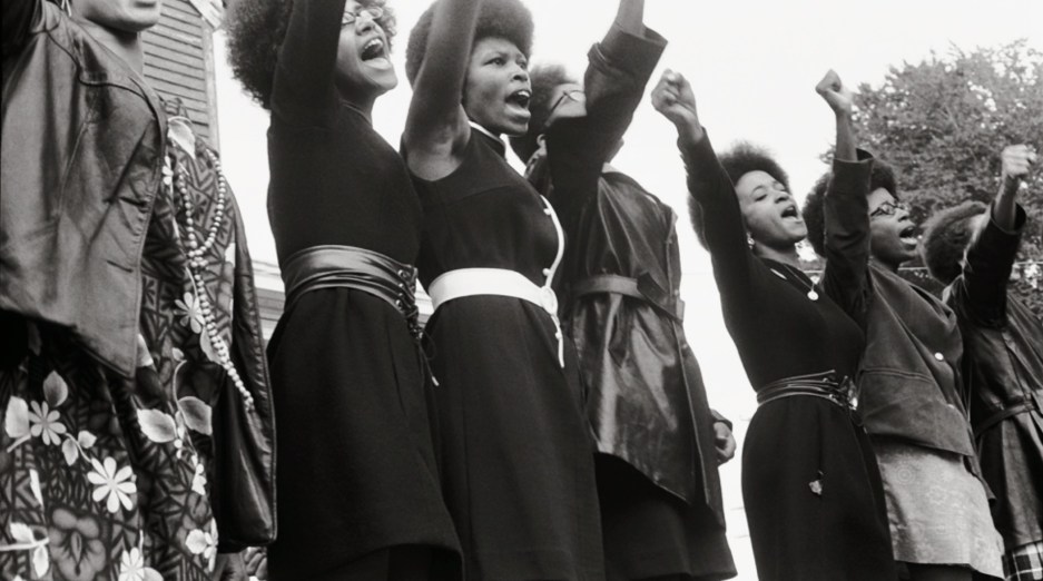 The Black Panthers : Vanguard of the Revolution