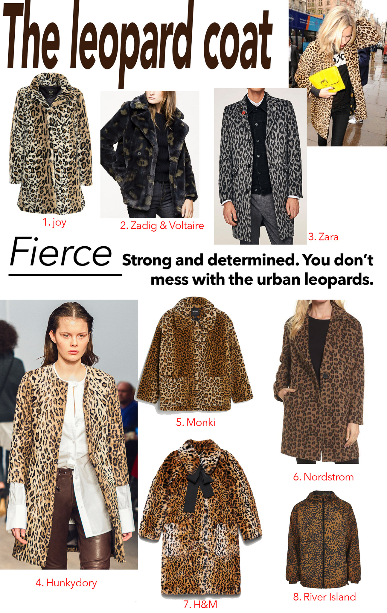 The leopard coat