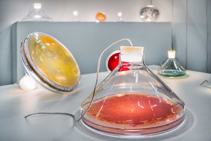 Jan Klingler lamp design formex nova scandinavian stockholm sweden bacteria
