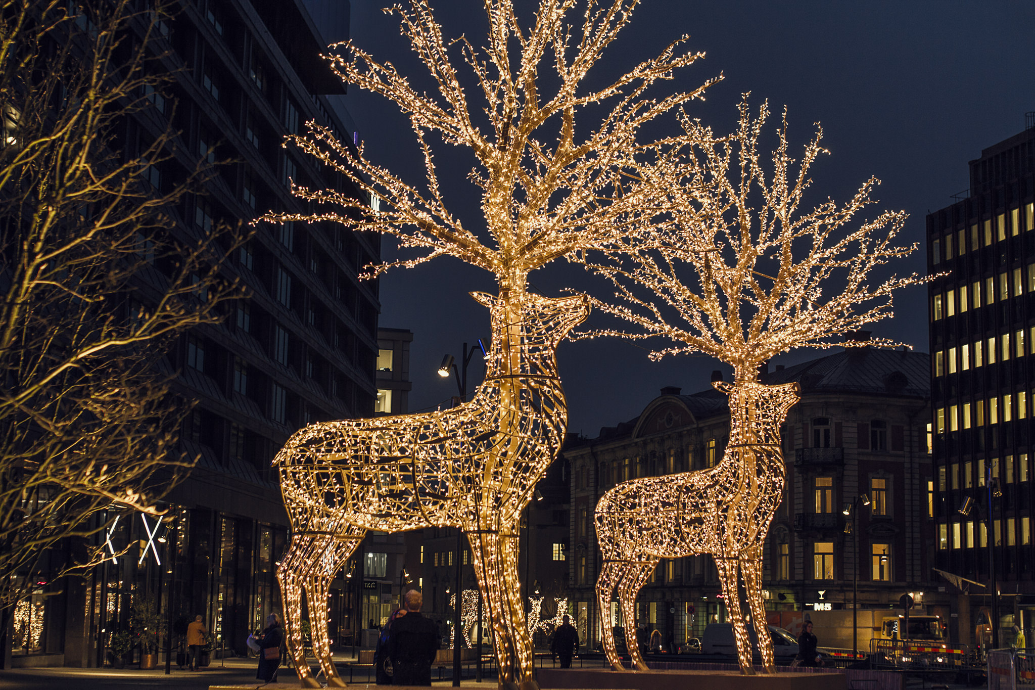 Stockholmsjul stockholm christmas light