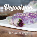 Vegovision Stockholm