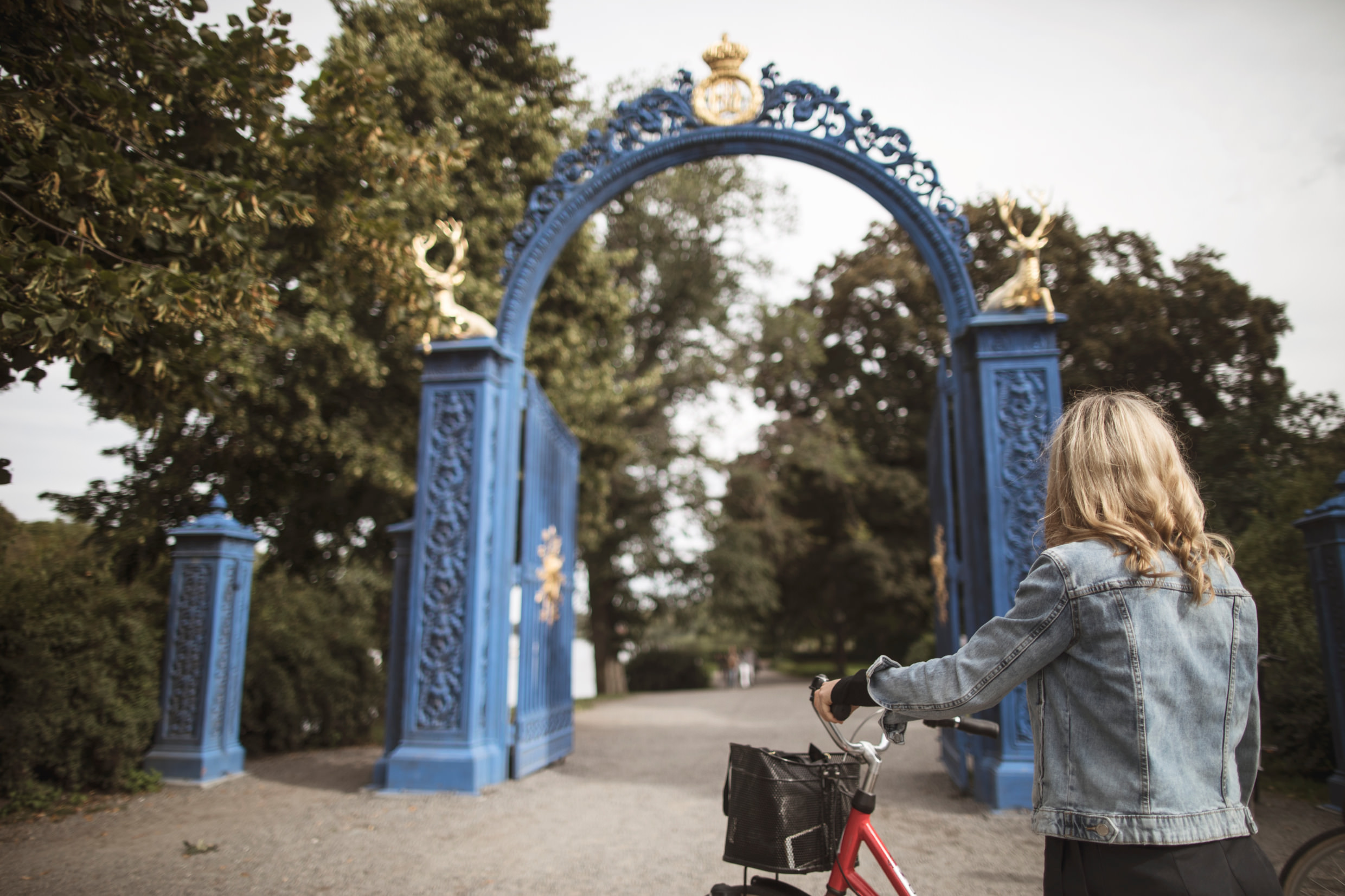 Tips for Finding the Best Family-Friendly Hotels in Djurgården