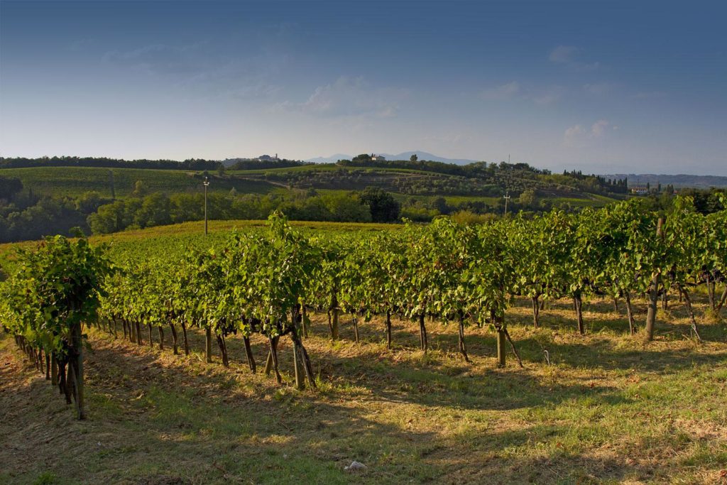 Photo courtesy Potere La Chiesa winery in Terre di Pisa frontier tuscany
