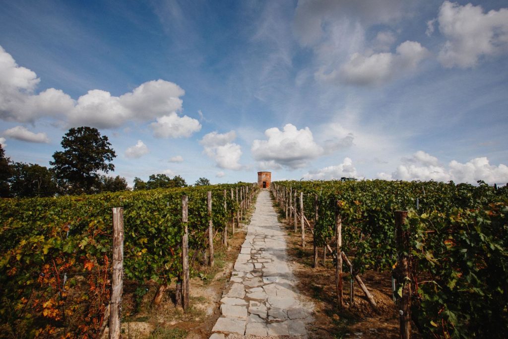 Photo courtesy Villa Saletta winery in Terre di Pisa tuscany wine frontier
